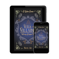 Veils and Villains eBook image 0